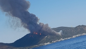 Marmaris Armutalan orman yangını
