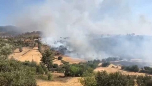 Milas'ta orman yangını çıktı