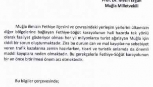 Muğla İYİ Parti Milletvekili Ergun'dan Fethiye-Söğüt Karayolu Hakkında Soru Önergesi