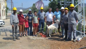 Muhtar Kavak, Mahallenin Elektrik Sorununu Çözdü