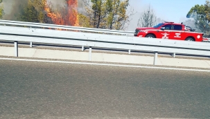 Ortaca D 400 kara yolu üzerinde orman yangını