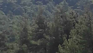 Yangın geniş bir alanda etkisini sürdürüyor
