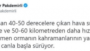 Yangınlardaki son durumu Bakan Bekir Pakdemirli paylaştı! 4 ilde alevlerle mücadele ediliyor