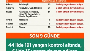 191 orman yangını kontrol altında, 13 yangını kontrol altına alma çalışmaları devam