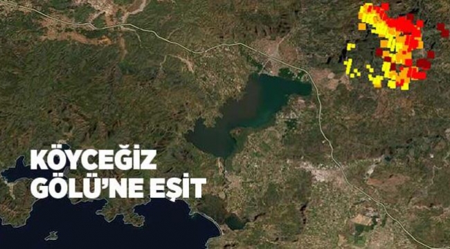 6 bin hektarın küle döndüğü Köyceğiz’de yangın devam ediyor
