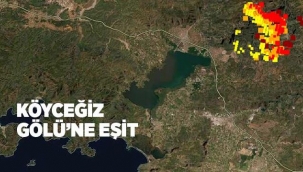 6 bin hektarın küle döndüğü Köyceğiz’de yangın devam ediyor
