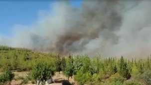Alevler, Bodrum’un son kalesi Kisebükü’ye ulaştı