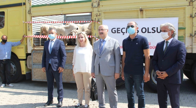 Antalya ve Muğla'daki afetzedelere İzmir'den hayvan ve yem bağışı
