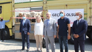 Antalya ve Muğla'daki afetzedelere İzmir'den hayvan ve yem bağışı