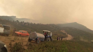 Aydın’daki yangınlardan biri kontrol altına alındı