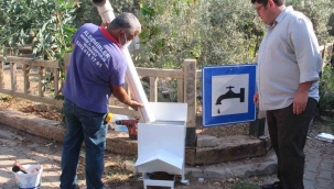 Başkan Kökten’den sokak hayvanları için örnek proje