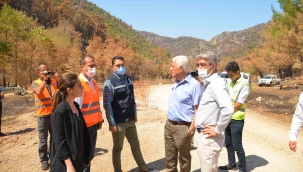 Başkanlardan yangın bölgesinde inceleme
