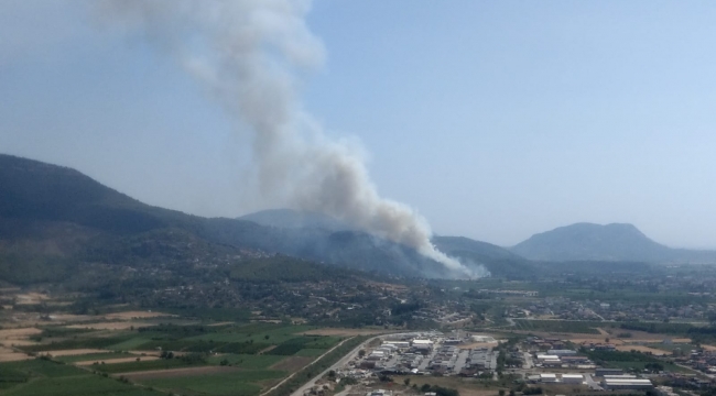 Bir yangın da Dalaman’da başladı