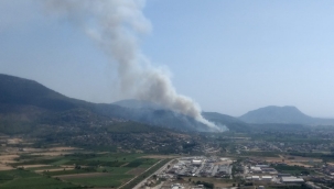 Bir yangın da Dalaman’da başladı