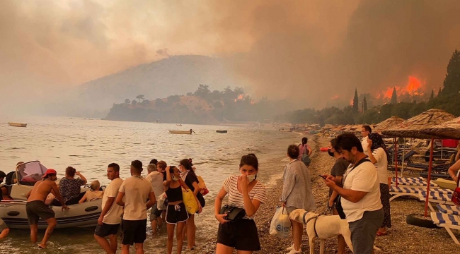 Bodrum'da korkulan oldu, alevler evlere sıçradı