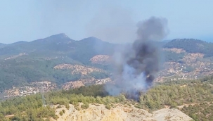 Bodrum'da orman yangını