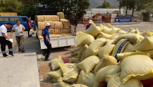 Büyükşehirden yangın mağduru üreticilere 368 ton hayvan besini desteği