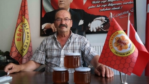 Çam balı üretiminde kayıp büyük