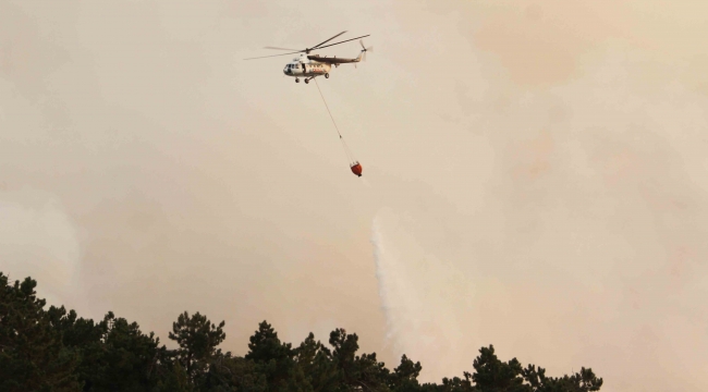 Çine'deki orman yangınına 12 helikopter ile müdahale ediliyor
