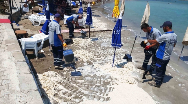 Datça sahilinde tedirgin eden görüntü