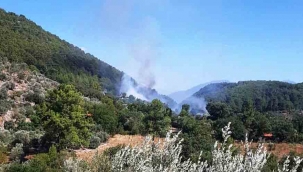 Göcek’teki yangın büyümeden söndürüldü
