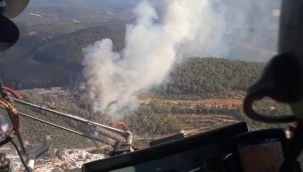 Kavaklıdere çayboyu mahallesi orman yangını.