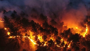 Köyceğiz’de gece saatlerinde alevler yeniden yükseldi