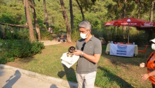 Marmaris Belediyesi Geçici Hayvan Bakımevi yangından etkilenen hayvanlara en güvenli alan oldu