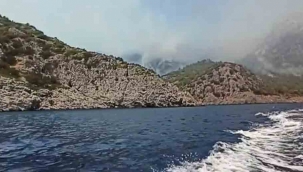 Marmaris yangını Domuz Koyu'na sıçradı