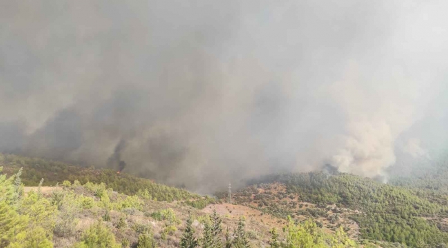 Milas’ta başlayan yangın Bodrum’a sıçradı