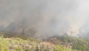 Milas’ta başlayan yangın Bodrum’a sıçradı