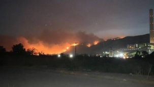 Milas'ta termik santral yakınlarına ulaşan yangın nedeniyle bölge boşaltılıyor