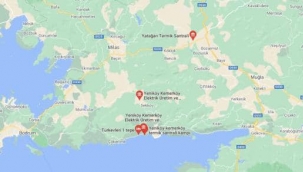 Milas'taki Yangının Bölgedeki Termik Santrallere Yaklaşması Büyük Panik yarattı
