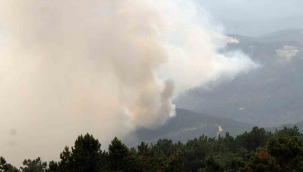 Muğla'da alevler yeniden yükseldi