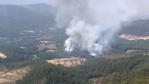 Muğla’da bir yangın daha çıktı