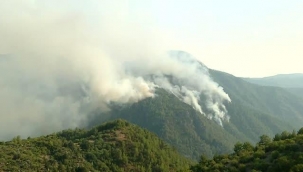Muğla’da yangınlar son durum