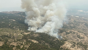 Muğla’da yangınların biri bitiyor, diğeri başlıyor