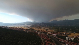 Muğla’da yükselen dumanlar gökyüzünü griye boyadı