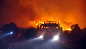 Muğla'da zeytinlik ve ormanlık alandaki yangınlara 6 tutuklama