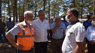 Muğla’daki Yangınlar İçin Dayanışma Seferberliği