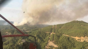 Muğla’daki yangınlara bir yenisi daha eklendi
