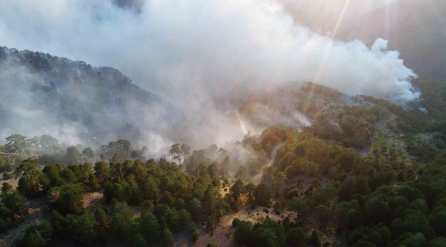 Muğla’daki yangınlarda son durum