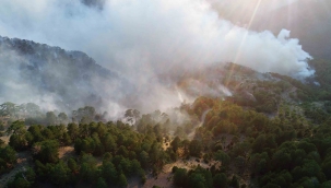 Muğla’daki yangınlarda son durum