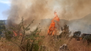 Muğla Seydikemer yangını yeniden başladı