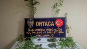 Ortaca’da uyuşturucu operasyonu