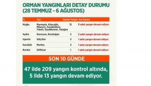 - Pakdemirli: ”209 orman yangını kontrol altında, 13 orman yangını devam ediyor”