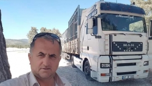 Sedikemer’li Tır Şoförü Hayat Mücadelesini Kaybetti