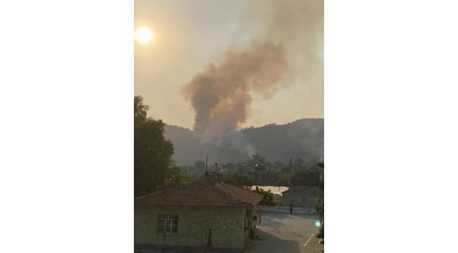Seydikemer’de orman yangını