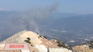 Seydikemer’de orman yangını