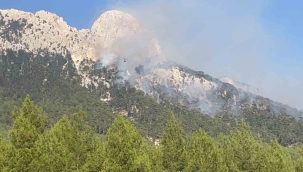 Seydikemer’deki yangın kısmen kontrol altına alındı